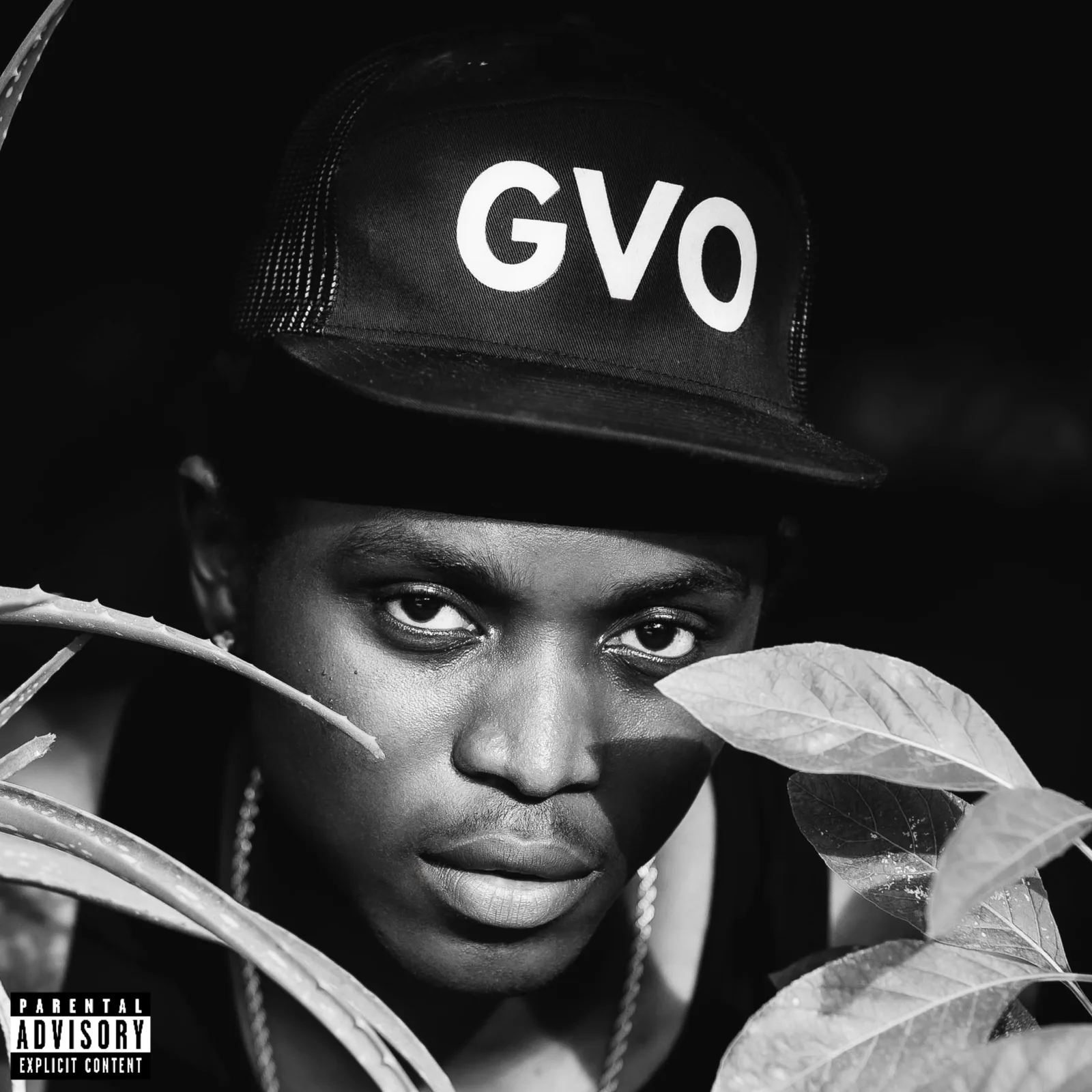 Kwame Dabie case study cover